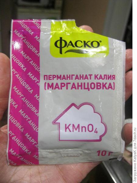 Сажаем веронику на снег с "Малышом" от Фаско и загадочная стратификация в холодильнике