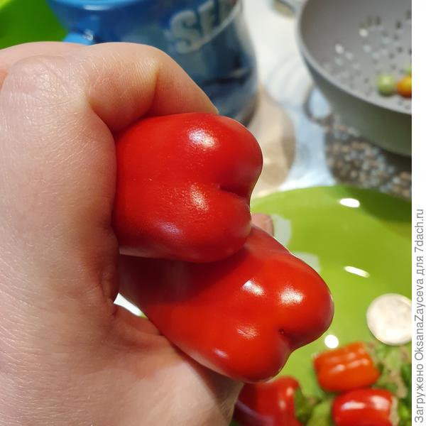 Первый урожай на окошке