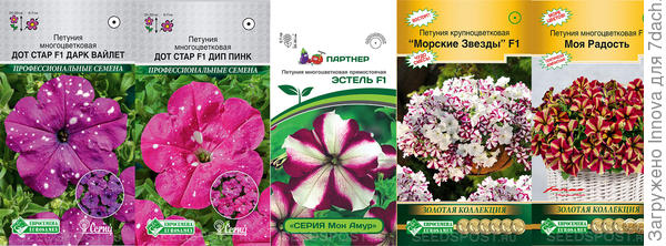Подарок для цветовода