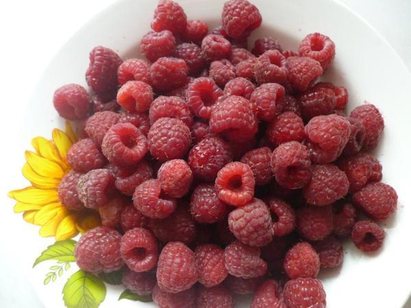 Вот наша кормилица дача.  Экологически чистые продукты  круглый год 2016