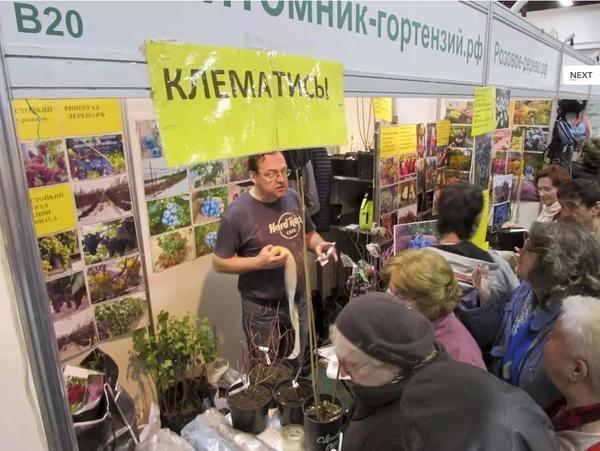 Осенняя выставка-ярмарка «Фазенда-2018» в Сокольниках