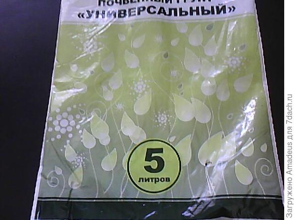 Пажитник голубой. Тест на всхожесть. Посев