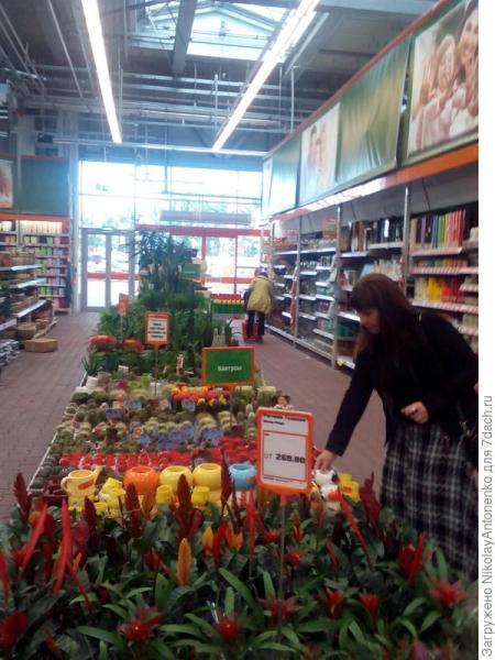 Щедрый Компромисс
