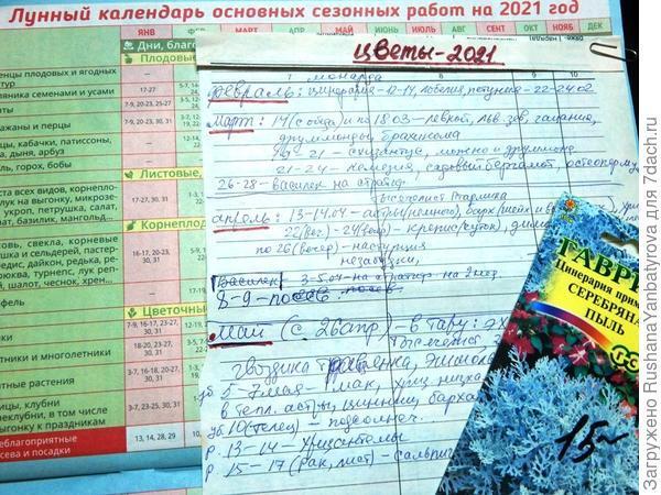 Я от семян цветочных "фанатею"! Их много нынче я опять посею!  Планирование на сезон-2021