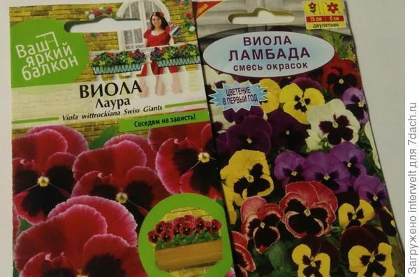 Мое начало сезона-2021