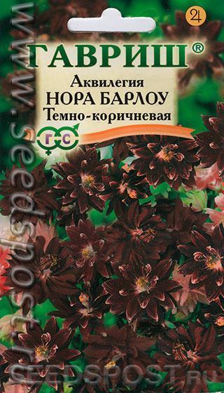 Водосбор… аквилегия… орлик - а хозяин имён лишь один