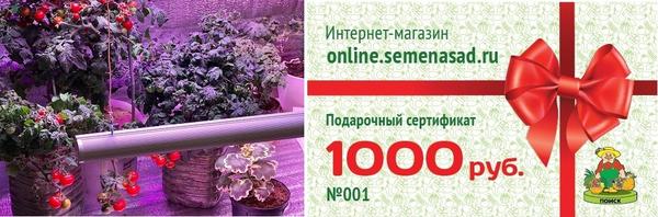 Поздравляем участников проекта "Мой домашний огород"! Что же им удалось вырастить на подоконниках?