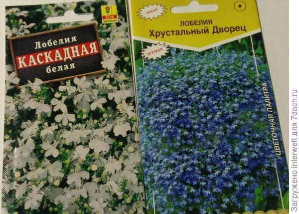 Мое начало сезона-2021