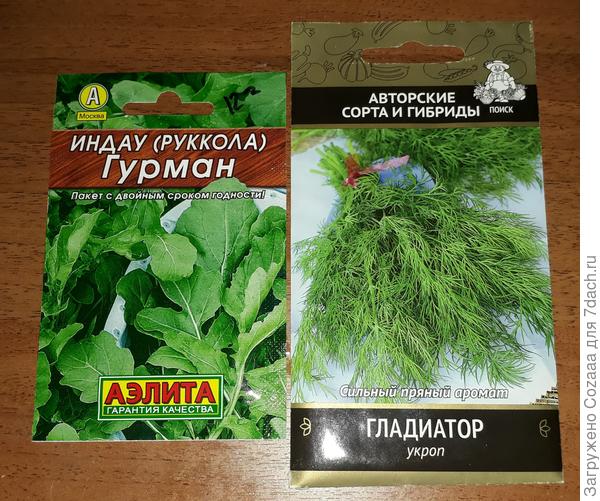 Как под Новый год разросся мой огород