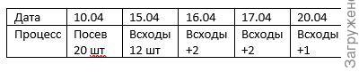 "Верю - не верю, посеяла - проверю". Редис 'Пинк Сюрприз'. Посев в теплицу