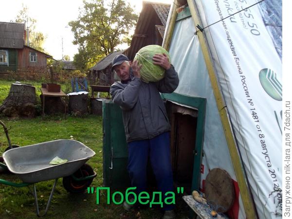 Урожай из семян НПО "Сады России"