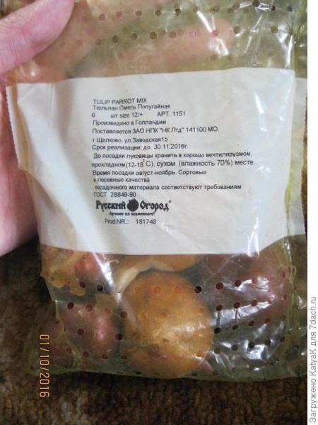 Долгожданная посылка с луковичными и саженцами!