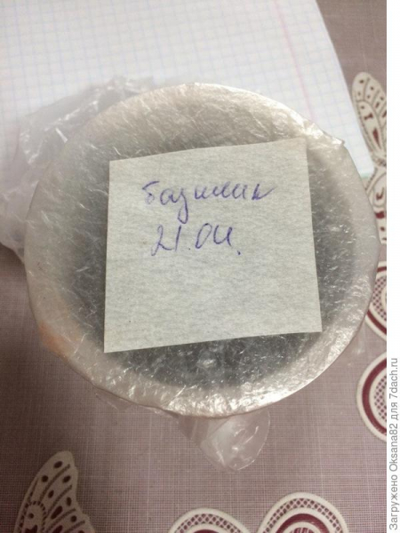 Базилик Фиолетовый. Тест на всхожесть