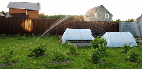 Оборудование для полива Gardena: отзывы дачников