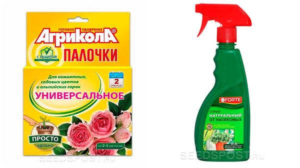 И кактусам, и орхидеям: выбираем все необходимое для здоровья комнатных растений