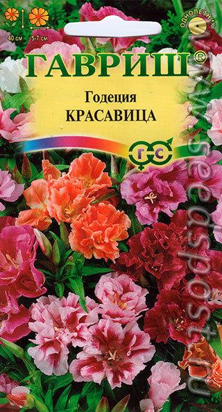 Нежная годеция