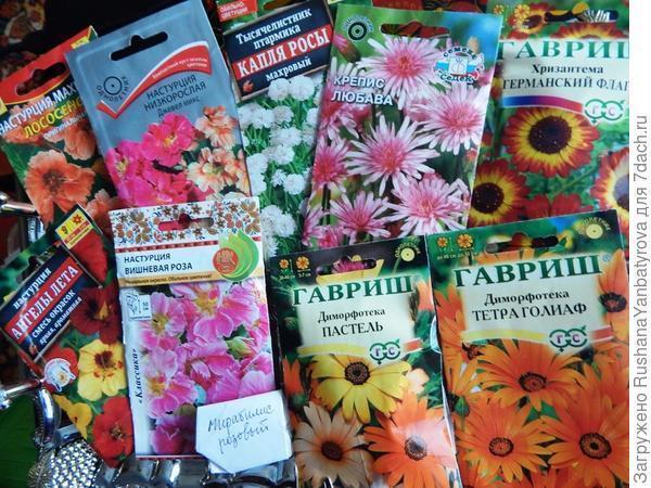 Я от семян цветочных "фанатею"! Их много нынче я опять посею!  Планирование на сезон-2021