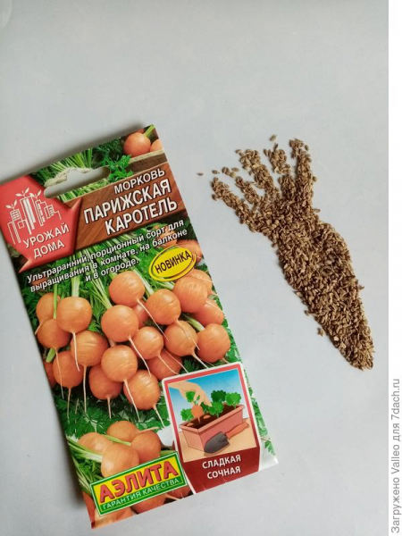 Морковь 'Парижская Каротель' от агрофирмы