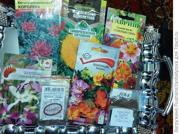 Я от семян цветочных "фанатею"! Их много нынче я опять посею!  Планирование на сезон-2021