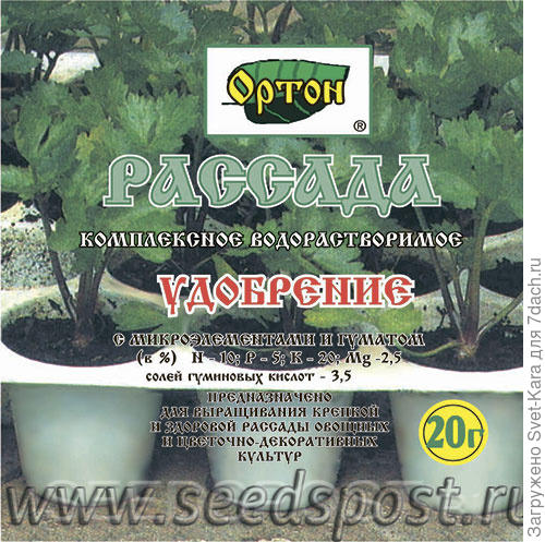 История одной помидорки. Рождение