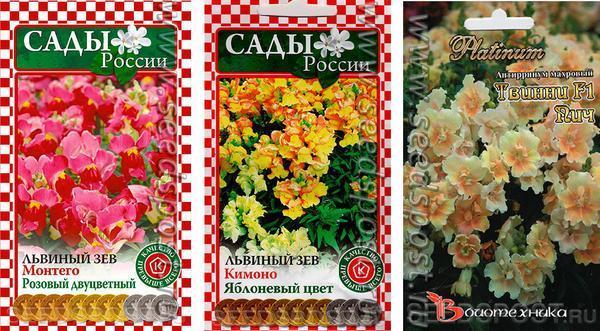 Цветочный ковер - радужных лепестков узор