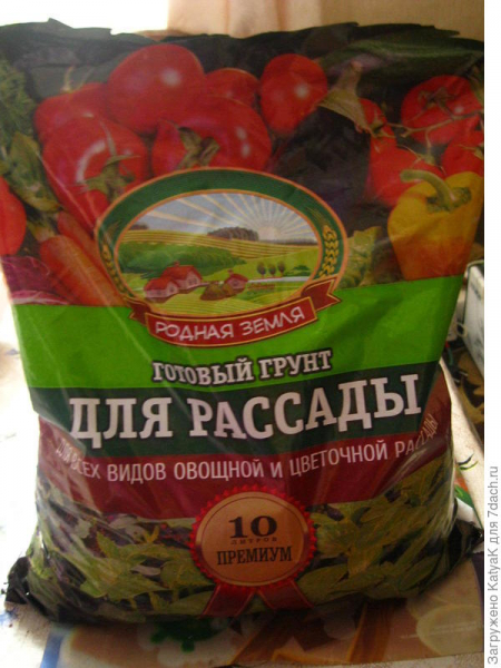 Кориандр Дебют. Этап 1. Тест на всхожесть