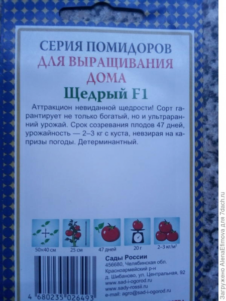 Огород на окне: эксперимент