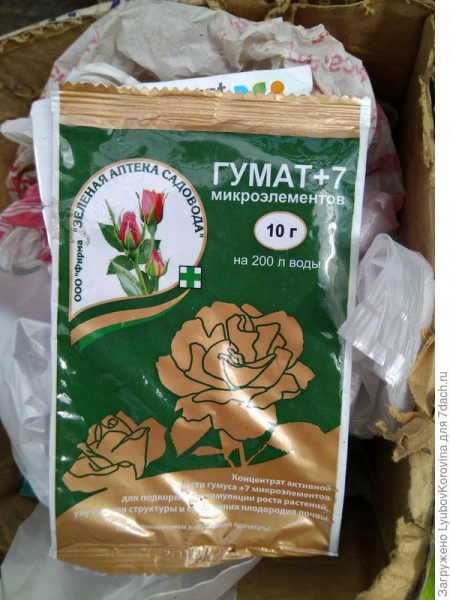Век живи - век учись (продолжение 5)