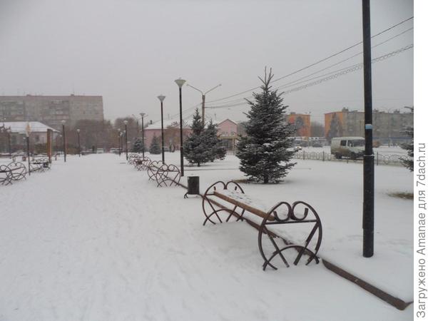 Чем заняться огороднику зимой?