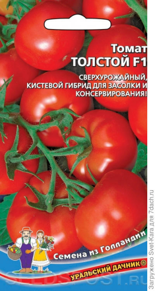 История одной помидорки. Рождение