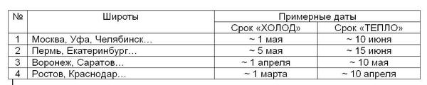 Когда сажать овощи на рассаду - расчет сроков по формуле