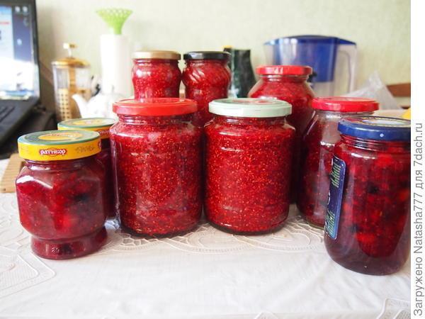 Мой маленький сад: урожай ягод и фруктов