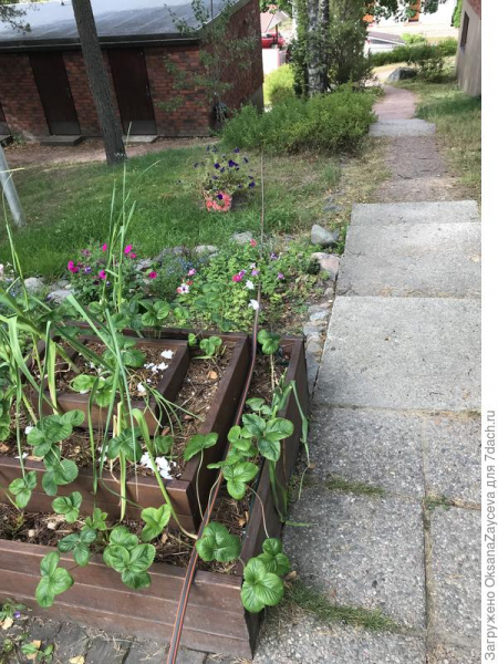 Настенная автоматическая катушка для шланга GARDENA. Отзыв с фото