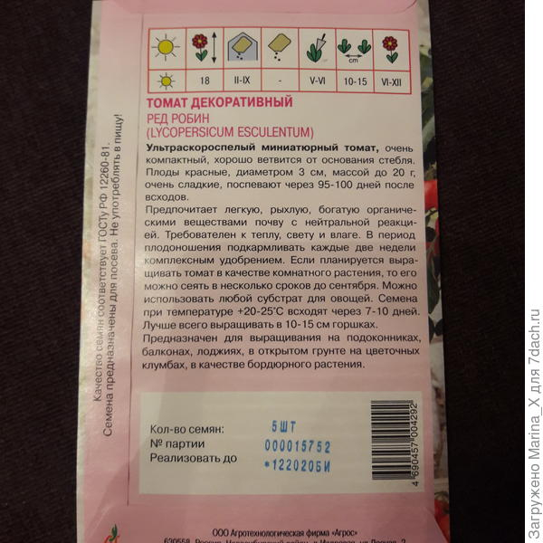 Дневник. Комнатные томаты 15.01.2018