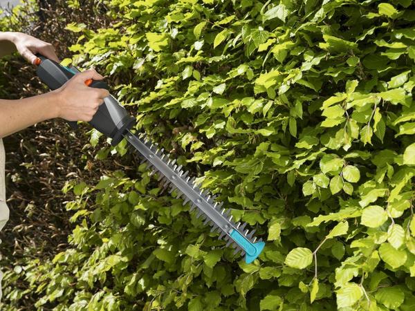Садовые инструменты Gardena: новинки сезона 2019