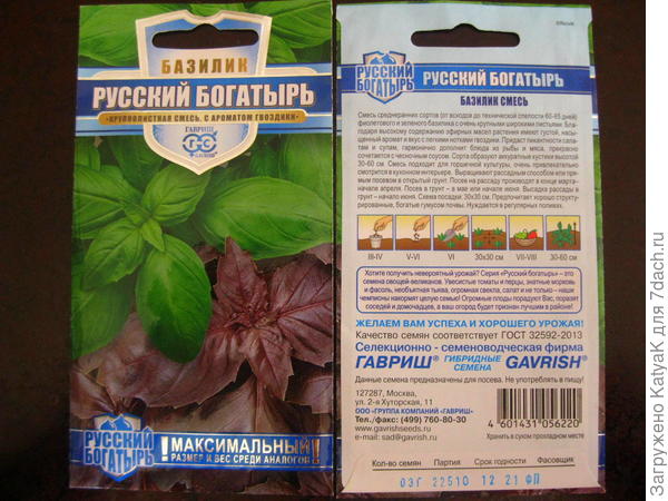 Базилик Русский Богатырь. Тест на всхожесть