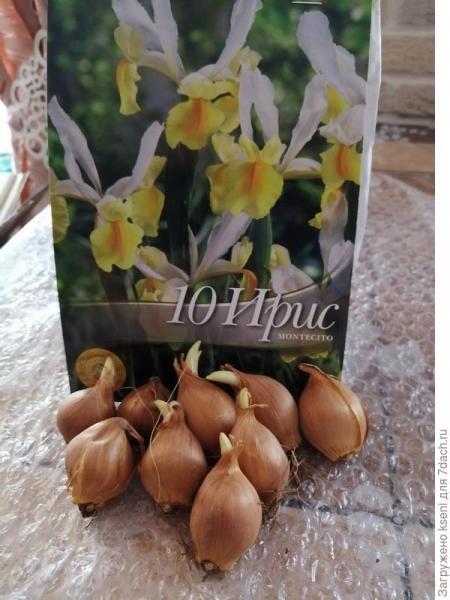 Весенние закупки от магазина "Семь семян". Отзыв с фото