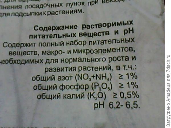 Пажитник голубой. Тест на всхожесть. Посев
