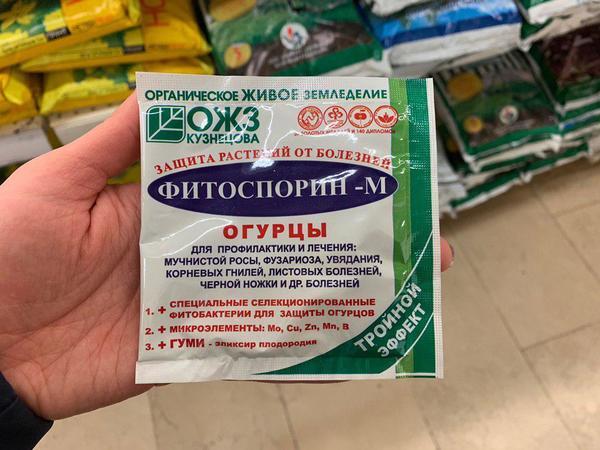 Что нужно огурцам в июле