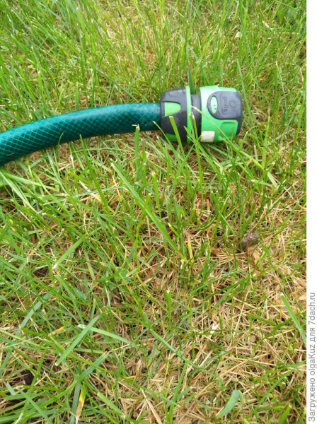 Тестирование дождевателя Comfort Turbo-Drive Sprinkler Spike
