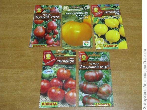 Итоги сезона-2018 и планы на 2019 год