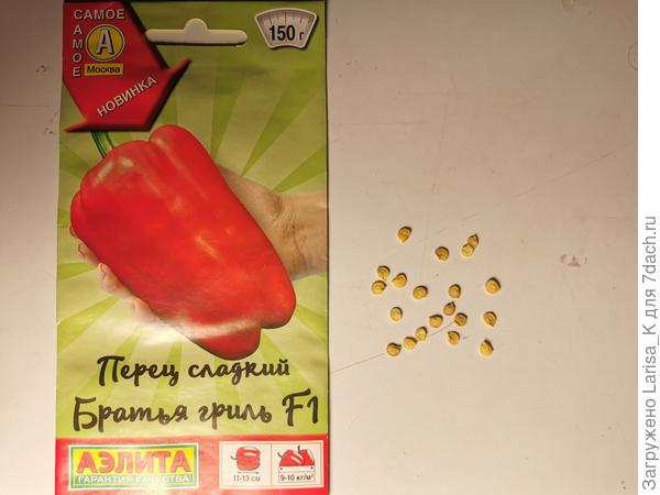Перец сладкий Братья гриль от ООО «Агрофирма АЭЛИТА». Посев и тест на всхожесть