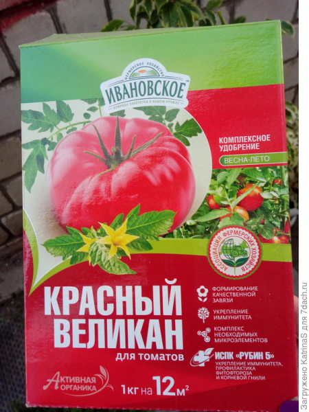 Томат 'Персик белый' пережил два переезда. Фото