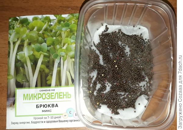 Как под Новый год разросся мой огород