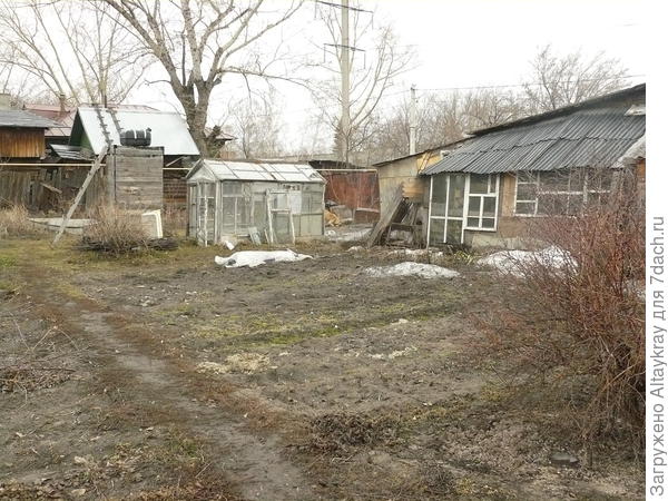 Парники и теплицы – особенности выращивания овощей в закрытом грунте