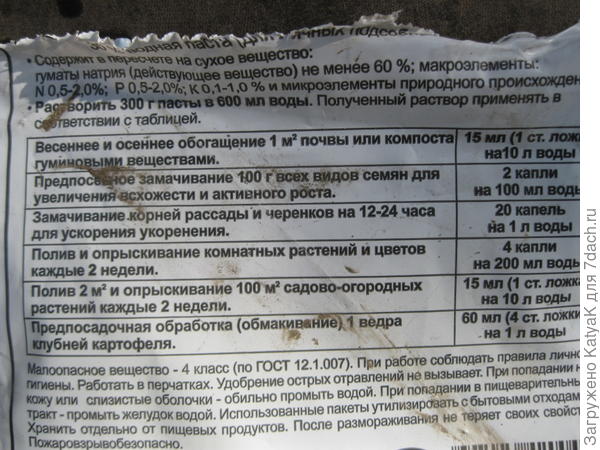 Томат Неженка. III этап. Высадка в теплицу