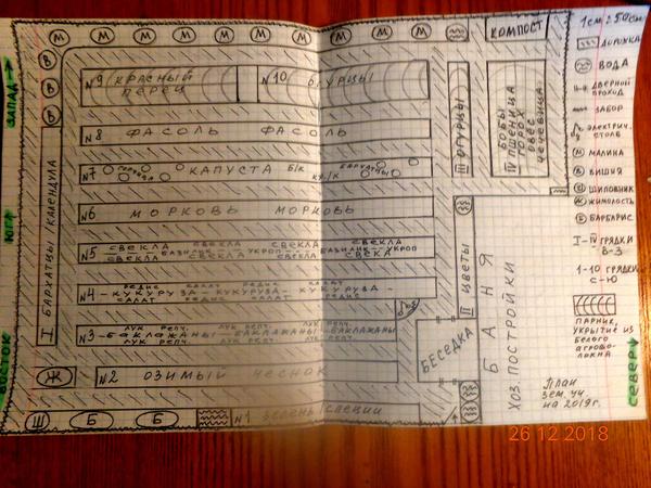 Как организован огород на моем дачном участке