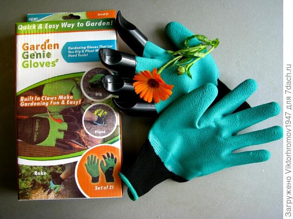 Тестирование перчаток Garden Genie Gloves. Тест 7: подготовка грядок с клубникой к зиме