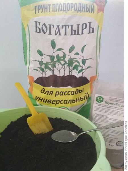 Чтобы радовал наш труд, подготовить надо грунт!