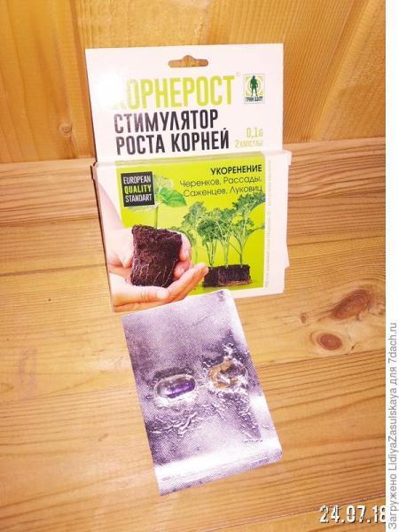 Корнерост. Тестирование препарата на саженцах растений. Применение